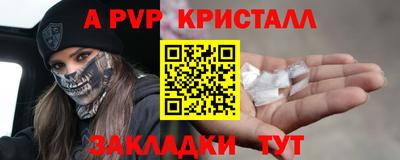 дмт Тара