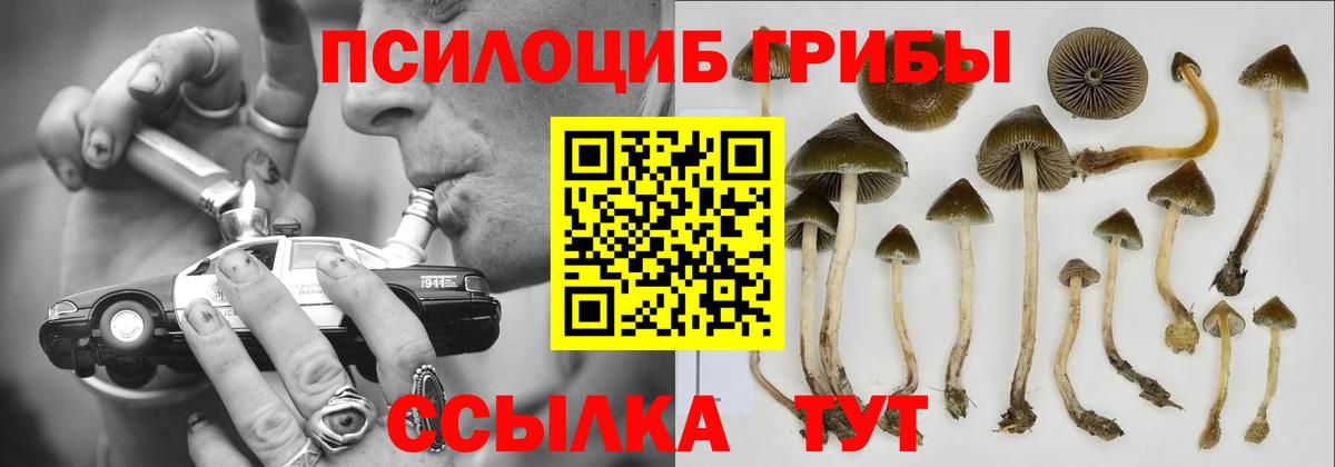 Нефтекамск  Псилоцибиновые грибы ЛСД  Вход с VPN 